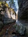 Dateiname=Teufelsschlucht_2020_214.jpg
Dateigröße=232KB
Abmessungen: 676x900
hinzugefügt am: 20. November 2020 Teufelsschlucht_2020_214.jpg