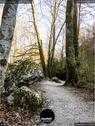 Dateiname=Teufelsschlucht_2020_234.jpg
Dateigröße=282KB
Abmessungen: 676x900
hinzugefügt am: 20. November 2020 Teufelsschlucht_2020_234.jpg