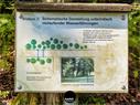 Dateiname=Waldbronn_Kurpark_RutenRadiaesthesie_13.jpg
Dateigröße=284KB
Abmessungen: 1199x900
hinzugefügt am: 26. Oktober 2020 Waldbronn_Kurpark_RutenRadiaesthesie_13.jpg
