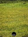 Dateiname=Waldbronn_Kurpark_RutenRadiaesthesie_22.jpg
Dateigröße=330KB
Abmessungen: 676x900
hinzugefügt am: 26. Oktober 2020 Waldbronn_Kurpark_RutenRadiaesthesie_22.jpg