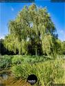 Dateiname=Waldbronn_Kurpark_RutenRadiaesthesie_24.jpg
Dateigröße=275KB
Abmessungen: 676x900
hinzugefügt am: 26. Oktober 2020 Waldbronn_Kurpark_RutenRadiaesthesie_24.jpg