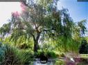 Dateiname=Waldbronn_Kurpark_RutenRadiaesthesie_26.jpg
Dateigröße=427KB
Abmessungen: 1199x900
hinzugefügt am: 26. Oktober 2020 Waldbronn_Kurpark_RutenRadiaesthesie_26.jpg