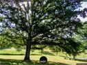 Dateiname=Waldbronn_Kurpark_RutenRadiaesthesie_47.jpg
Dateigröße=474KB
Abmessungen: 1199x900
hinzugefügt am: 26. Oktober 2020 Waldbronn_Kurpark_RutenRadiaesthesie_47.jpg