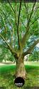 Dateiname=Waldbronn_Kurpark_RutenRadiaesthesie_74.jpg
Dateigröße=176KB
Abmessungen: 392x900
hinzugefügt am: 26. Oktober 2020 Waldbronn_Kurpark_RutenRadiaesthesie_74.jpg