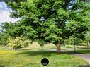 Dateiname=Waldbronn_Kurpark_RutenRadiaesthesie_75.jpg
Dateigröße=492KB
Abmessungen: 1199x900
hinzugefügt am: 26. Oktober 2020 Waldbronn_Kurpark_RutenRadiaesthesie_75.jpg
