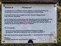 Dateiname=Waldbronn_Kurpark_RutenRadiaesthesie_77.jpg
Dateigröße=238KB
Abmessungen: 1199x900
hinzugefügt am: 26. Oktober 2020 Waldbronn_Kurpark_RutenRadiaesthesie_77.jpg