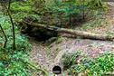 Dateiname=KaltbrunnentalKarstlehrpfad_034.jpg
Dateigröße=557KB
Abmessungen: 1349x900
hinzugefügt am: 14. November 2020 KaltbrunnentalKarstlehrpfad_034.jpg