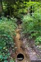 Dateiname=KaltbrunnentalKarstlehrpfad_037.jpg
Dateigröße=283KB
Abmessungen: 601x900
hinzugefügt am: 14. November 2020 KaltbrunnentalKarstlehrpfad_037.jpg