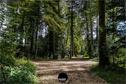 Dateiname=KaltbrunnentalKarstlehrpfad_041.jpg
Dateigröße=606KB
Abmessungen: 1349x900
hinzugefügt am: 14. November 2020 KaltbrunnentalKarstlehrpfad_041.jpg