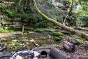 Dateiname=KaltbrunnentalKarstlehrpfad_072.jpg
Dateigröße=546KB
Abmessungen: 1349x900
hinzugefügt am: 14. November 2020 KaltbrunnentalKarstlehrpfad_072.jpg
