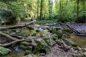 Dateiname=KaltbrunnentalKarstlehrpfad_073.jpg
Dateigröße=587KB
Abmessungen: 1349x900
hinzugefügt am: 14. November 2020 KaltbrunnentalKarstlehrpfad_073.jpg