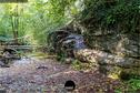 Dateiname=KaltbrunnentalKarstlehrpfad_076.jpg
Dateigröße=539KB
Abmessungen: 1349x900
hinzugefügt am: 14. November 2020 KaltbrunnentalKarstlehrpfad_076.jpg