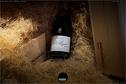 Dateiname=Moevenpick_Wein_Wettingen_069.jpg
Dateigröße=231KB
Abmessungen: 1349x900
hinzugefügt am: 04. Dezember 2020 Moevenpick_Wein_Wettingen_069.jpg