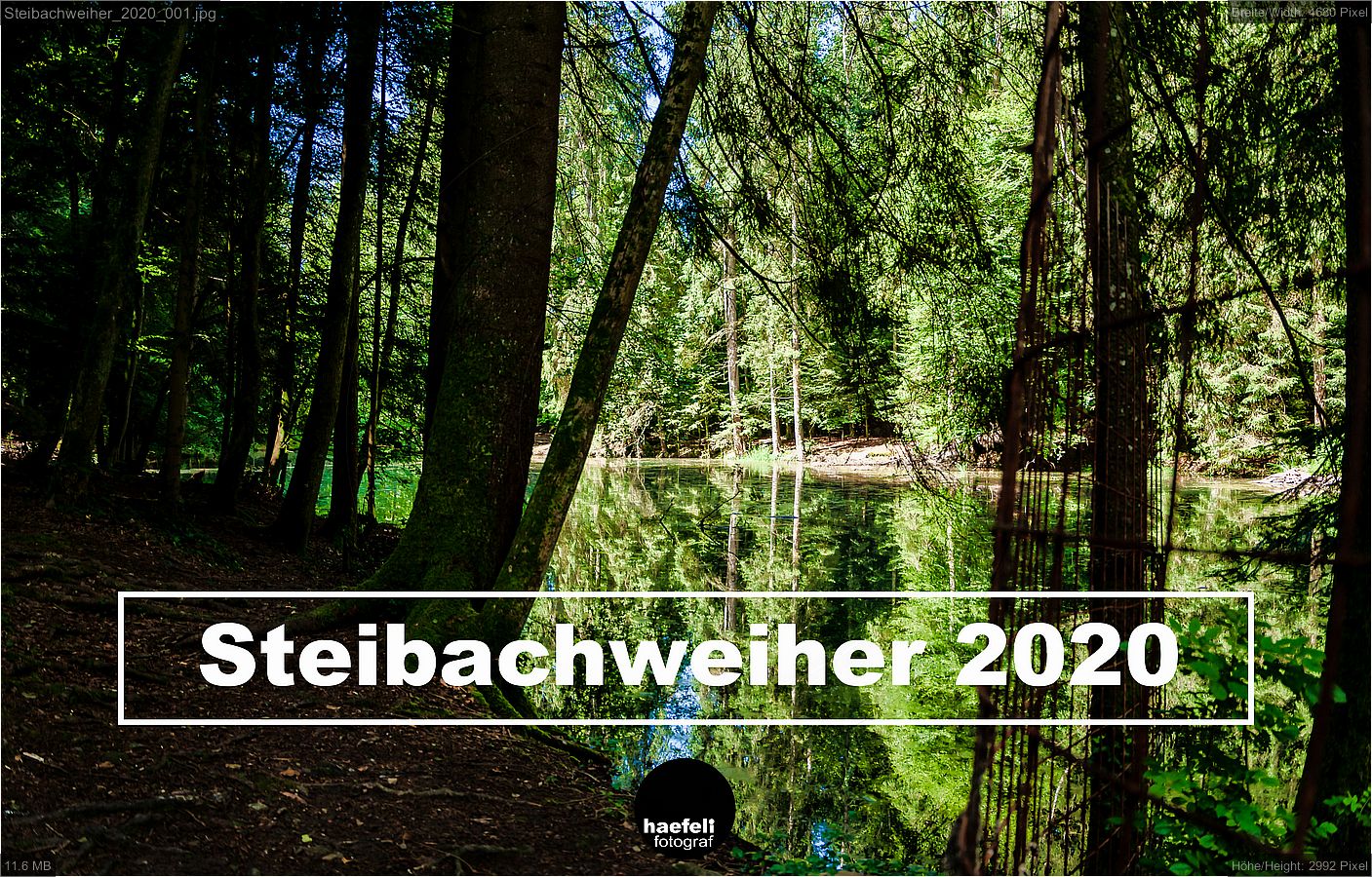 Steibachweiher_2020_001.jpg