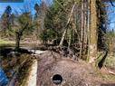 Dateiname=Steibachweiher_2020_015.JPEG
Dateigröße=543KB
Abmessungen: 1199x900
hinzugefügt am: 29. Dezember 2020 Steibachweiher_2020_015.JPEG