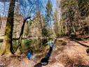 Dateiname=Steibachweiher_2020_022.JPEG
Dateigröße=531KB
Abmessungen: 1199x900
hinzugefügt am: 29. Dezember 2020 Steibachweiher_2020_022.JPEG