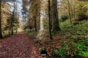 Dateiname=Steibachweiher_2020_083.JPEG
Dateigröße=617KB
Abmessungen: 1349x900
hinzugefügt am: 29. Dezember 2020 Steibachweiher_2020_083.JPEG