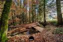 Dateiname=Steibachweiher_2020_085.JPEG
Dateigröße=619KB
Abmessungen: 1349x900
hinzugefügt am: 29. Dezember 2020 Steibachweiher_2020_085.JPEG