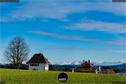 Dateiname=20_4911_12_13_023.JPEG
Dateigröße=219KB
Abmessungen: 1349x900
hinzugefügt am: 31. Dezember 2020 20_4911_12_13_023.JPEG