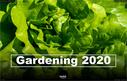 Gardening_2020_001.jpg