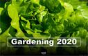 Dateiname=Gardening_2020_001.jpg
Dateigröße=221KB
Abmessungen: 1407x900
hinzugefügt am: 19. Dezember 2020 Gardening_2020_001.jpg