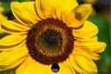 Dateiname=Gardening_2020_002.jpg
Dateigröße=250KB
Abmessungen: 1349x900
hinzugefügt am: 19. Dezember 2020 Gardening_2020_002.jpg