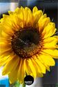 Dateiname=Gardening_2020_003.jpg
Dateigröße=109KB
Abmessungen: 601x900
hinzugefügt am: 19. Dezember 2020 Gardening_2020_003.jpg