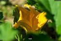 Dateiname=Gardening_2020_004.jpg
Dateigröße=107KB
Abmessungen: 1349x900
hinzugefügt am: 19. Dezember 2020 Gardening_2020_004.jpg