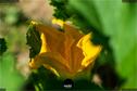Dateiname=Gardening_2020_005.jpg
Dateigröße=97KB
Abmessungen: 1349x900
hinzugefügt am: 19. Dezember 2020 Gardening_2020_005.jpg