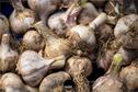 Dateiname=Gardening_2020_007.jpg
Dateigröße=224KB
Abmessungen: 1349x900
hinzugefügt am: 19. Dezember 2020 Gardening_2020_007.jpg