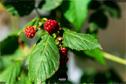 Dateiname=Gardening_2020_011.jpg
Dateigröße=138KB
Abmessungen: 1349x900
hinzugefügt am: 19. Dezember 2020 Gardening_2020_011.jpg