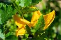Dateiname=Gardening_2020_017.jpg
Dateigröße=194KB
Abmessungen: 1349x900
hinzugefügt am: 19. Dezember 2020 Gardening_2020_017.jpg