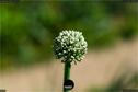 Dateiname=Gardening_2020_019.jpg
Dateigröße=88KB
Abmessungen: 1349x900
hinzugefügt am: 19. Dezember 2020 Gardening_2020_019.jpg