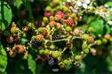 Dateiname=Gardening_2020_026.jpg
Dateigröße=191KB
Abmessungen: 1349x900
hinzugefügt am: 19. Dezember 2020 Gardening_2020_026.jpg