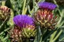 Dateiname=Gardening_2020_029.jpg
Dateigröße=207KB
Abmessungen: 1349x900
hinzugefügt am: 19. Dezember 2020 Gardening_2020_029.jpg