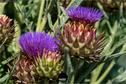 Dateiname=Gardening_2020_030.jpg
Dateigröße=210KB
Abmessungen: 1349x900
hinzugefügt am: 19. Dezember 2020 Gardening_2020_030.jpg