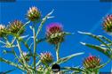 Dateiname=Gardening_2020_032.jpg
Dateigröße=180KB
Abmessungen: 1349x900
hinzugefügt am: 19. Dezember 2020 Gardening_2020_032.jpg