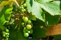 Dateiname=Gardening_2020_033.jpg
Dateigröße=142KB
Abmessungen: 1349x900
hinzugefügt am: 19. Dezember 2020 Gardening_2020_033.jpg