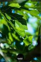 Dateiname=Gardening_2020_036.jpg
Dateigröße=92KB
Abmessungen: 601x900
hinzugefügt am: 19. Dezember 2020 Gardening_2020_036.jpg