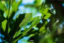 Dateiname=Gardening_2020_037.jpg
Dateigröße=178KB
Abmessungen: 1349x900
hinzugefügt am: 19. Dezember 2020 Gardening_2020_037.jpg