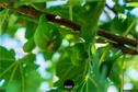 Dateiname=Gardening_2020_039.jpg
Dateigröße=131KB
Abmessungen: 1349x900
hinzugefügt am: 19. Dezember 2020 Gardening_2020_039.jpg