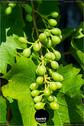 Dateiname=Gardening_2020_044.jpg
Dateigröße=113KB
Abmessungen: 601x900
hinzugefügt am: 19. Dezember 2020 Gardening_2020_044.jpg