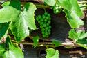Dateiname=Gardening_2020_045.jpg
Dateigröße=304KB
Abmessungen: 1349x900
hinzugefügt am: 19. Dezember 2020 Gardening_2020_045.jpg