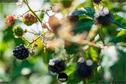 Dateiname=Gardening_2020_051.jpg
Dateigröße=157KB
Abmessungen: 1349x900
hinzugefügt am: 19. Dezember 2020 Gardening_2020_051.jpg