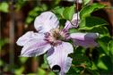Dateiname=Gardening_2020_054.jpg
Dateigröße=165KB
Abmessungen: 1349x900
hinzugefügt am: 19. Dezember 2020 Gardening_2020_054.jpg