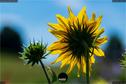 Dateiname=Gardening_2020_059.jpg
Dateigröße=137KB
Abmessungen: 1349x900
hinzugefügt am: 19. Dezember 2020 Gardening_2020_059.jpg