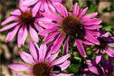 Dateiname=Gardening_2020_061.jpg
Dateigröße=229KB
Abmessungen: 1349x900
hinzugefügt am: 19. Dezember 2020 Gardening_2020_061.jpg