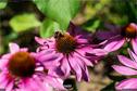 Dateiname=Gardening_2020_062.jpg
Dateigröße=173KB
Abmessungen: 1349x900
hinzugefügt am: 19. Dezember 2020 Gardening_2020_062.jpg