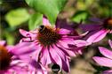 Dateiname=Gardening_2020_063.jpg
Dateigröße=172KB
Abmessungen: 1349x900
hinzugefügt am: 19. Dezember 2020 Gardening_2020_063.jpg