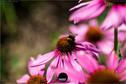 Dateiname=Gardening_2020_065.jpg
Dateigröße=120KB
Abmessungen: 1349x900
hinzugefügt am: 19. Dezember 2020 Gardening_2020_065.jpg